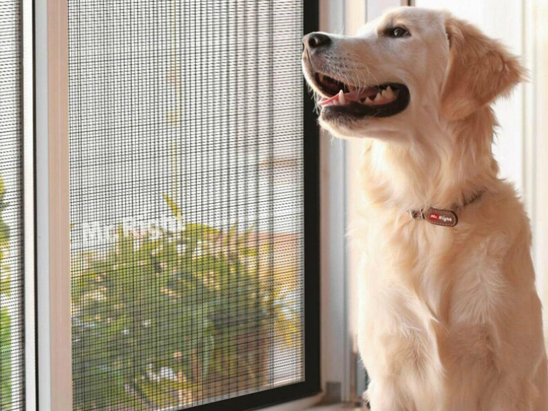 Állatbiztos szúnyogháló